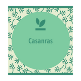 Casanras 