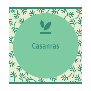 Casanras 